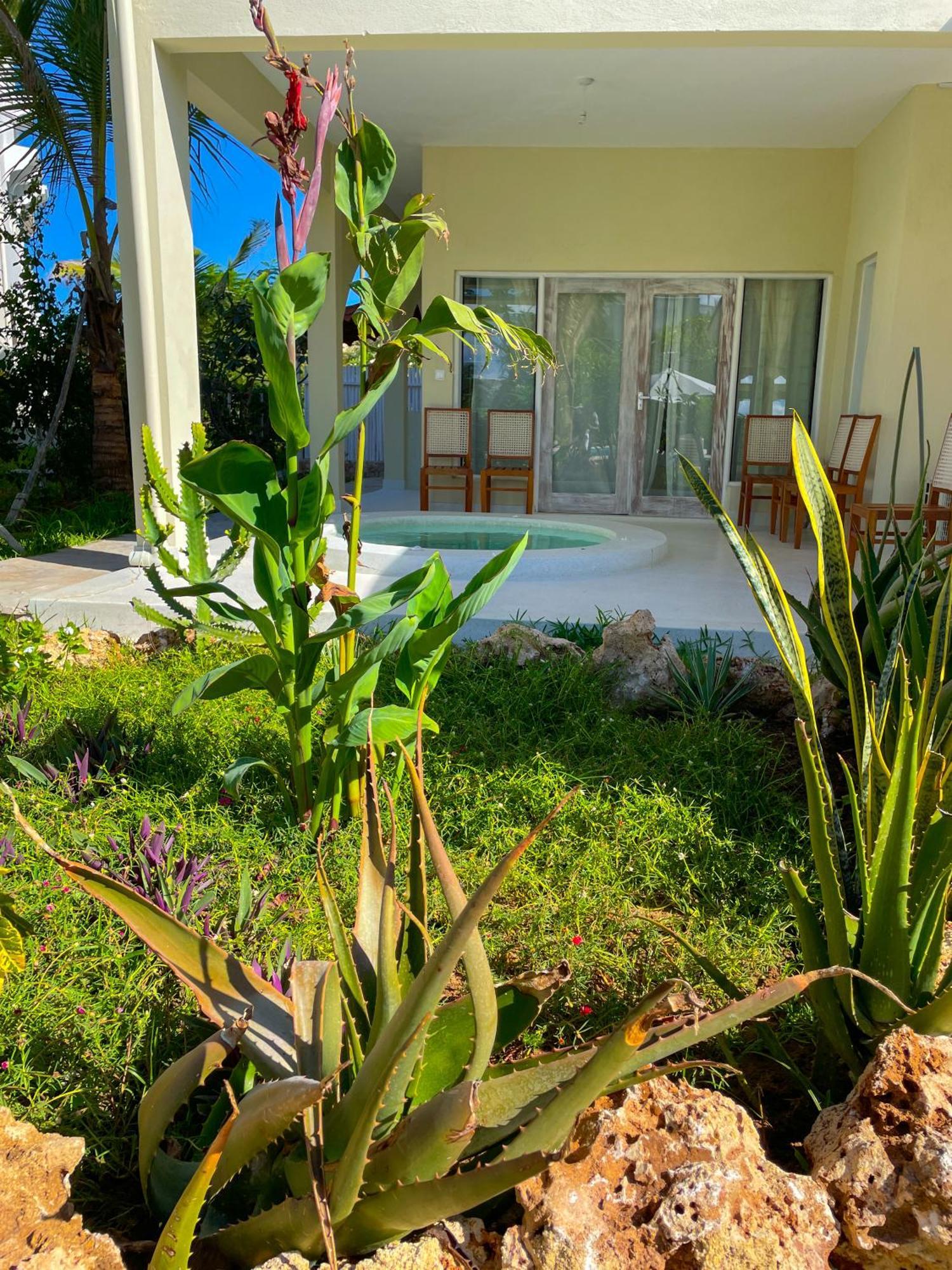 White Villa - Paparemo Beach Watamu Dış mekan fotoğraf