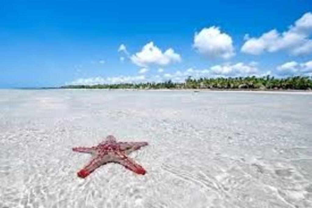 White Villa - Paparemo Beach Watamu Dış mekan fotoğraf